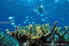 Estates of Pennock Point - Land