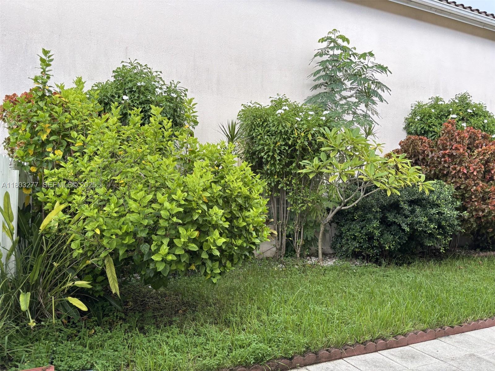 THE POINT - Residential