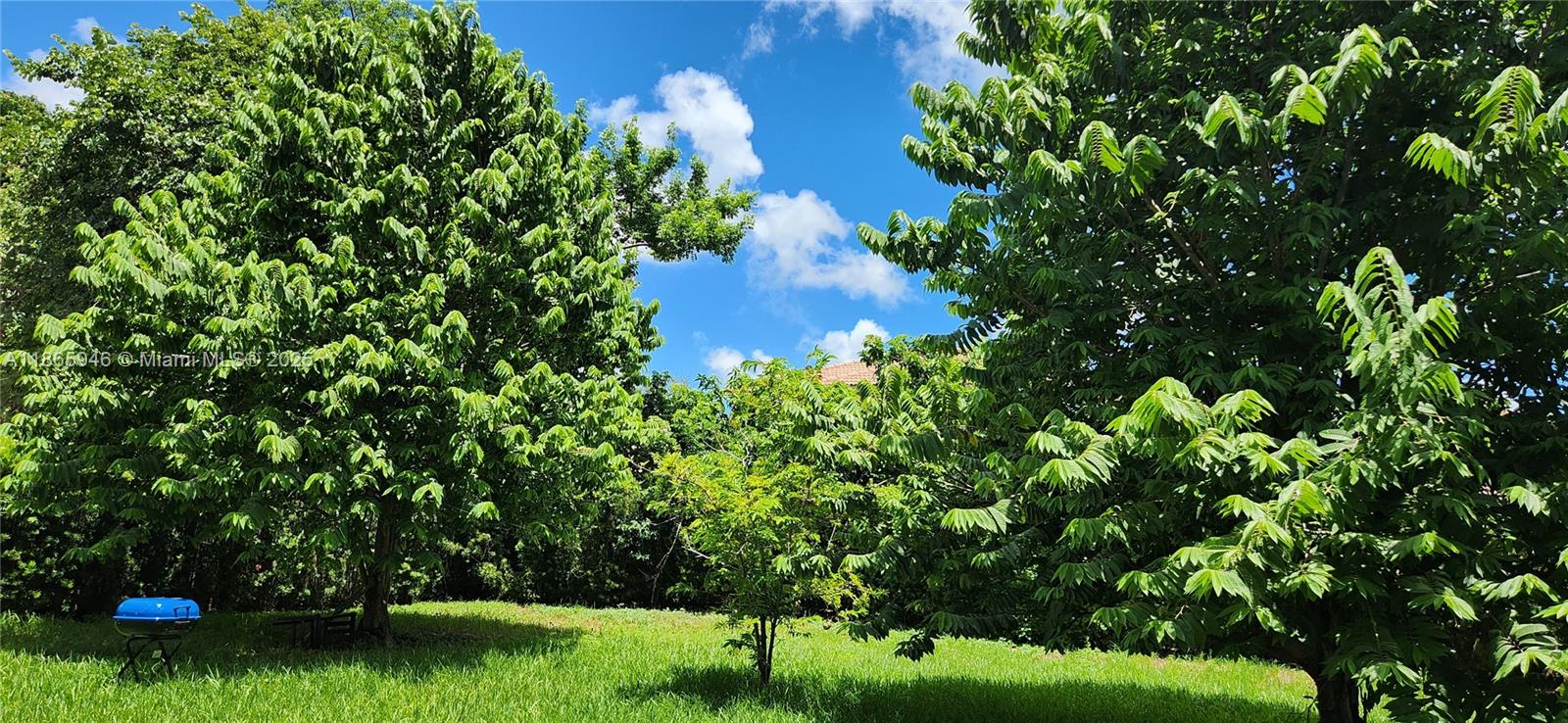 ESTATES AT MENDICINO - Residential