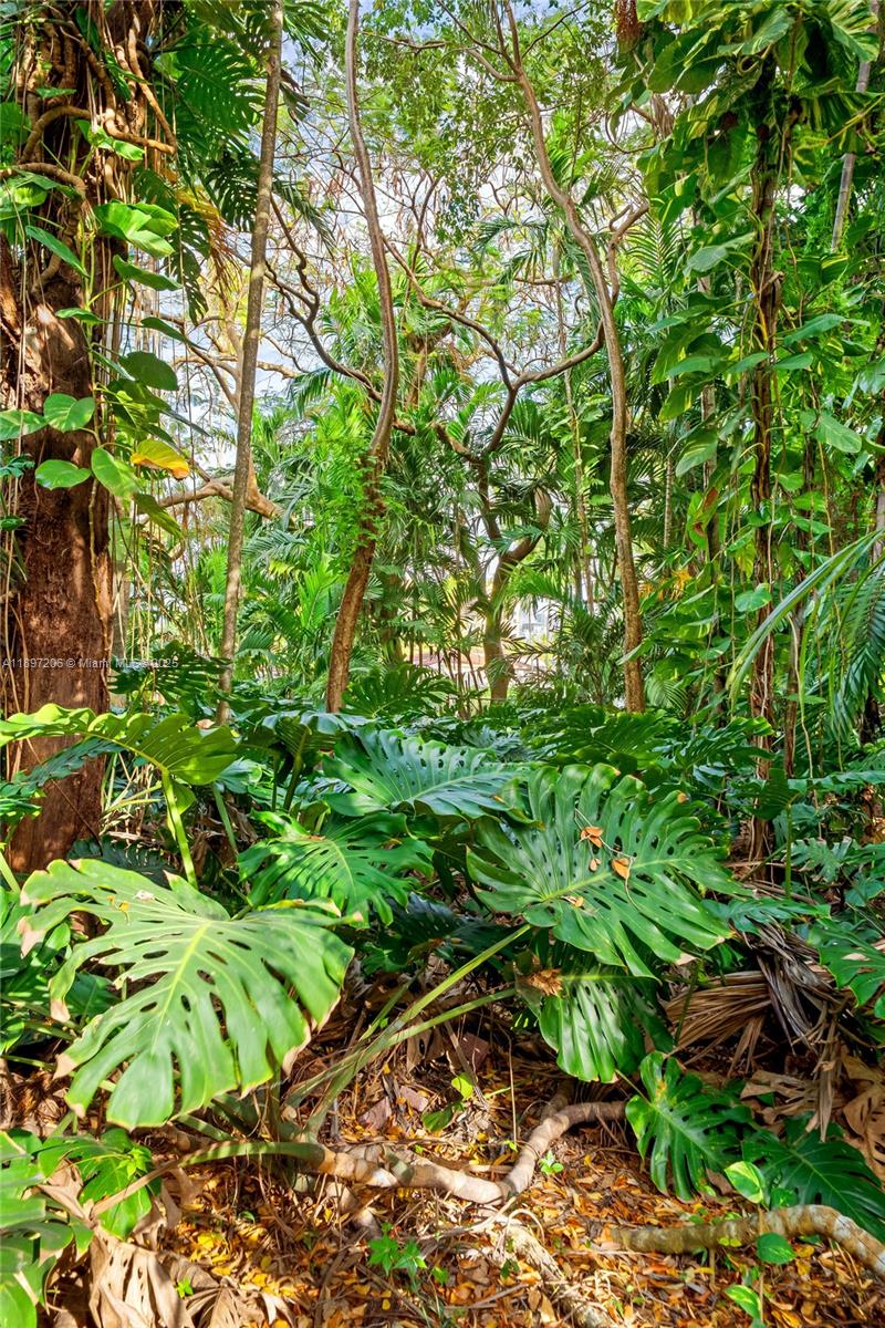 SPRING GARDEN - Residential