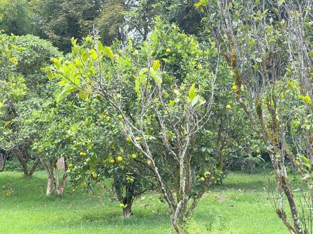 Sector Gualdéleg - Residential