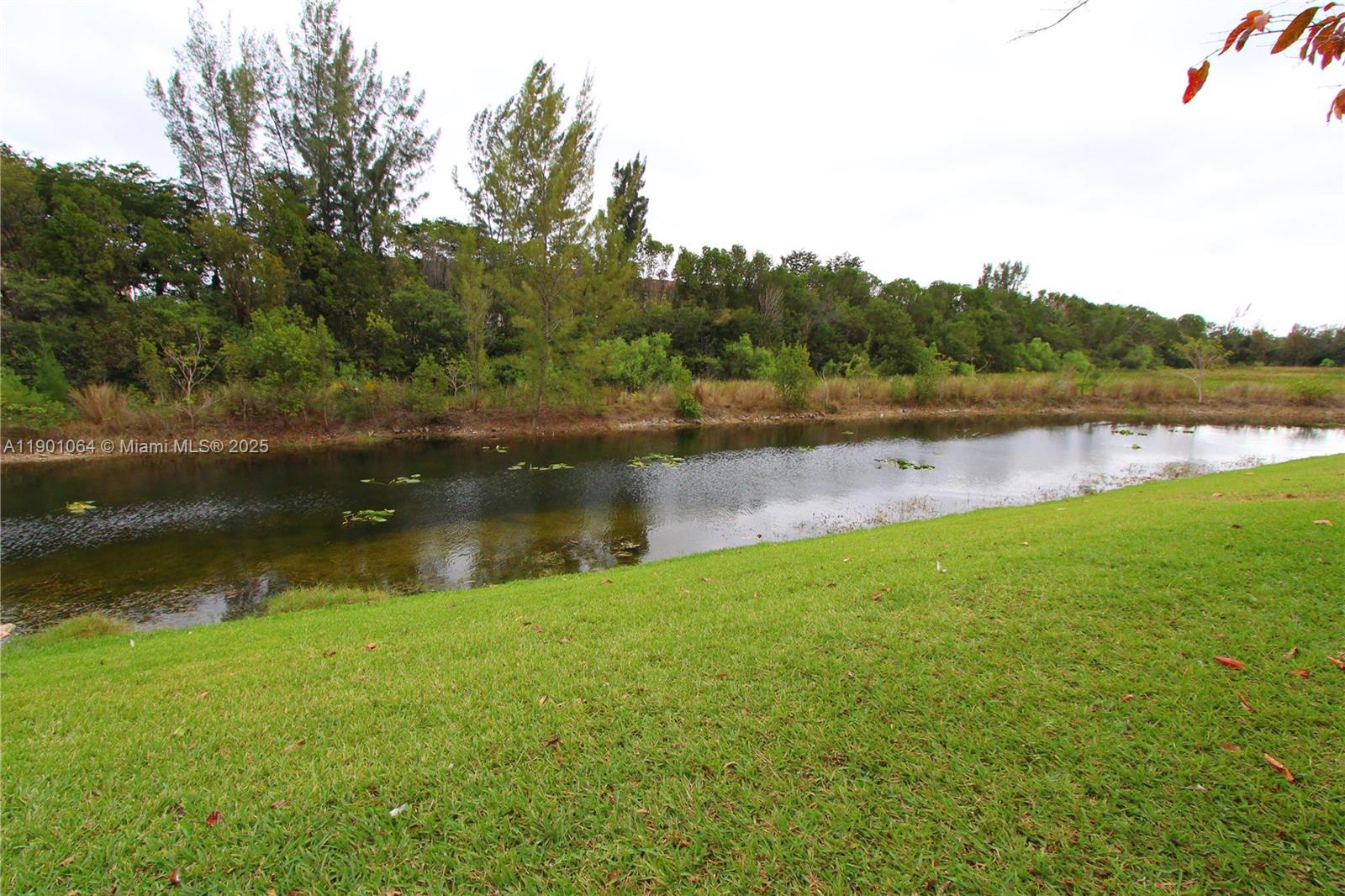 PEMBROKE CAY CONDO - Residential Lease