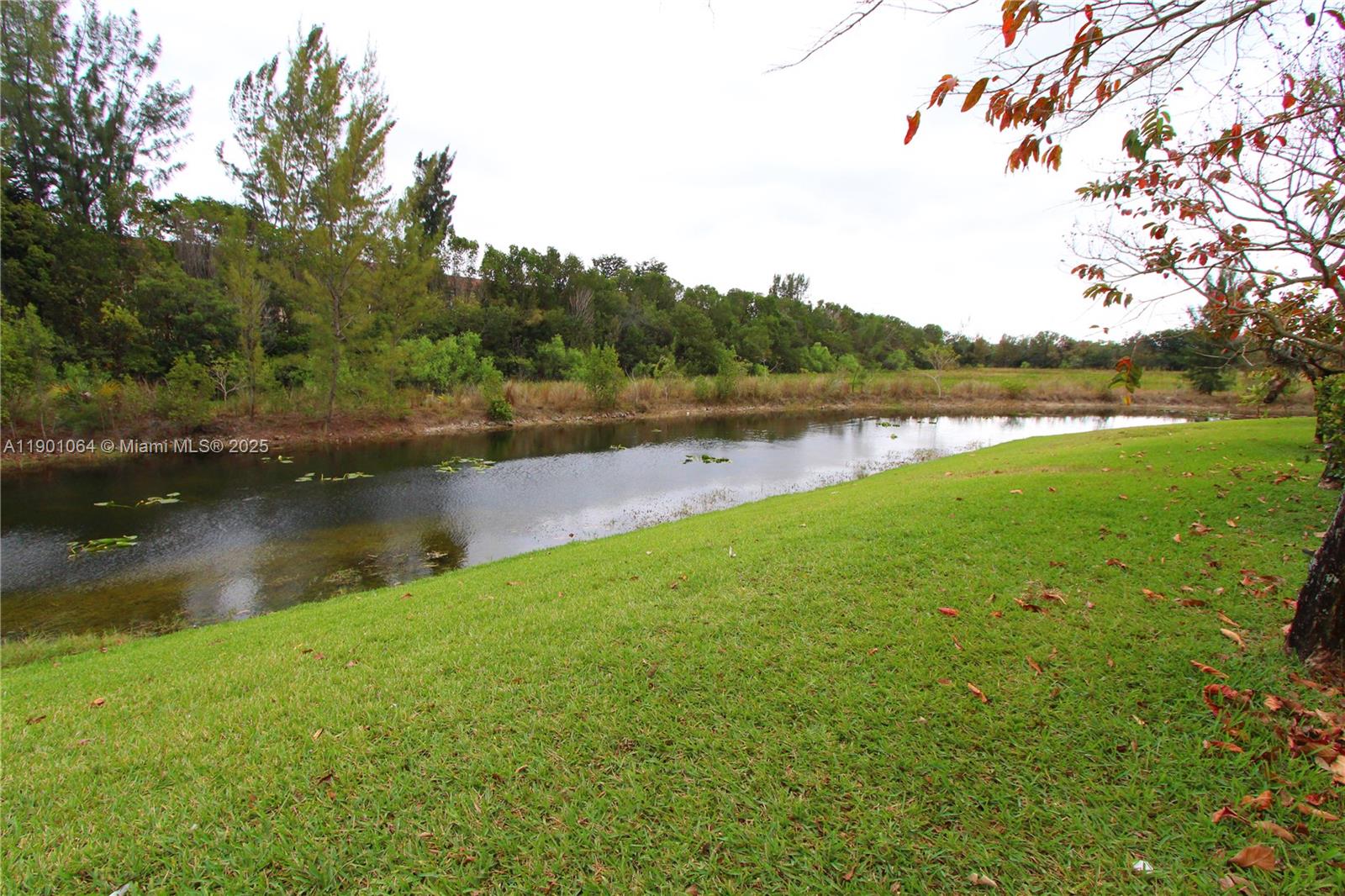 PEMBROKE CAY CONDO - Residential Lease