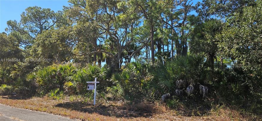 PRIME INVESTMENT OPPORTUNITY IN THE HEART OF PORT LABELLE! This expansive 10,018 Sq. Ft. (125x80) residential parcel is located Banyan Village (Unit 11). This area is characterized by steady long-term appreciation and a notable surge in new construction activity. Strategic Developer & Investor Potential: This property represents a high-value asset for builders focusing on single-family homes or strategic investors seeking land aggregation. With its flat topography and clear residential zoning (RG-3), it offers a clean slate to capitalize on the continued residential expansion of SW Florida
Maximum Cost Efficiency: Enjoy total freedom with no HOA fees and no CDD fees, ensuring exceptionally low holding costs while you finalize development plans. Minimal Environmental Risk: Public records indicate the lot is located in a "Minimal Risk" flood area (Zone X), typically requiring no flood insurance and reducing construction complexity. Rectangular lot, ideal for a variety of single-family floor plans. Located in a quiet residential setting just minutes from local dining, shopping, and schools. Strategically positioned for easy commuting to Fort Myers and Lehigh Acres. Whether you are looking to build a custom dream home or add a high-potential parcel to your investment portfolio, this lot offers exceptional value in a high-demand market. Pictures are from public/satellite sources. Zoning, utilities, and building requirements to be verified by buyer with Hendry County