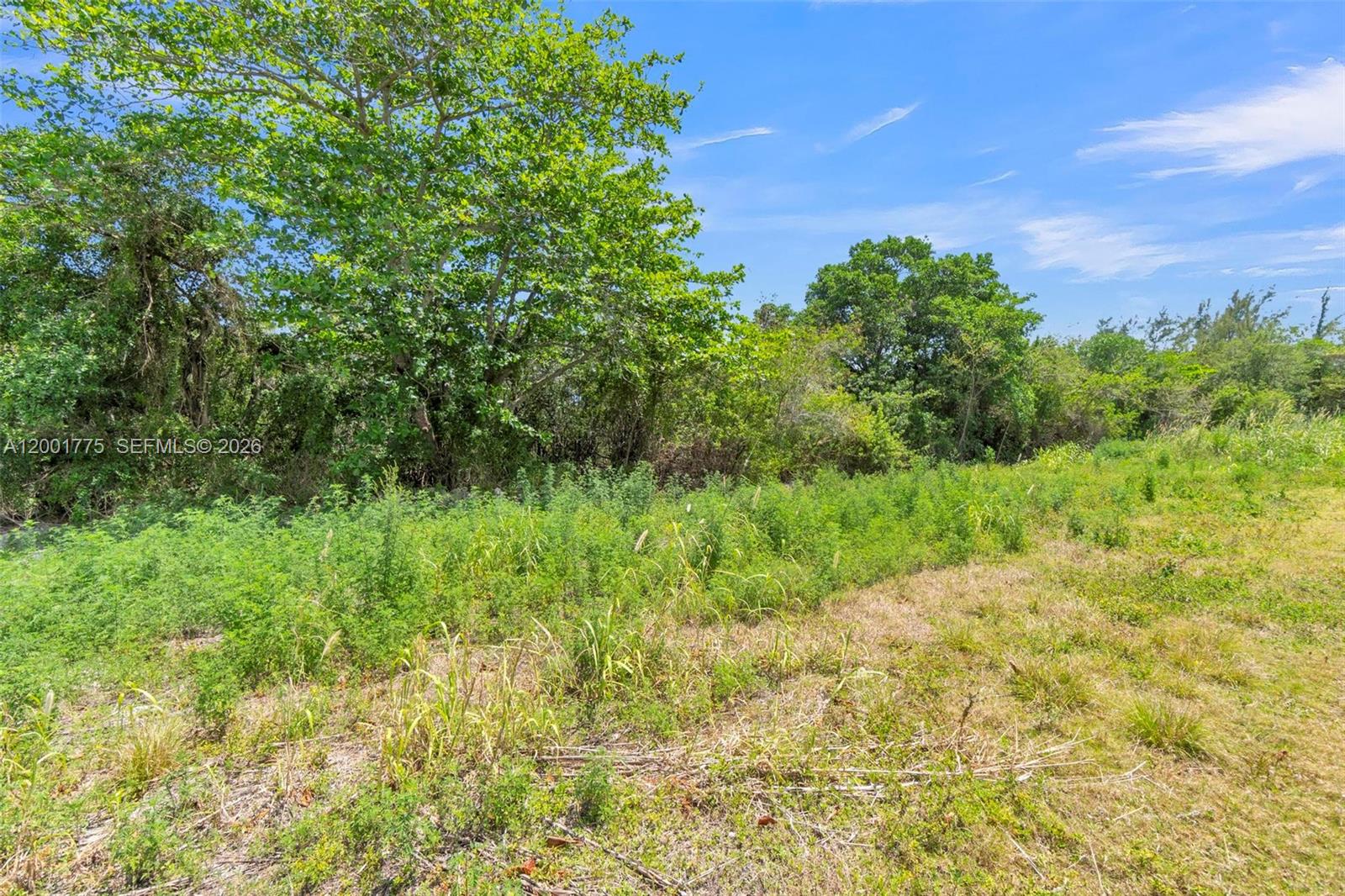 SAGA BAY SEC 1 PT 4 - Land