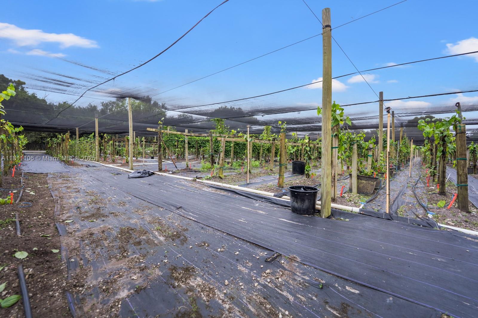 32 56 39 5 AC M/L - Residential