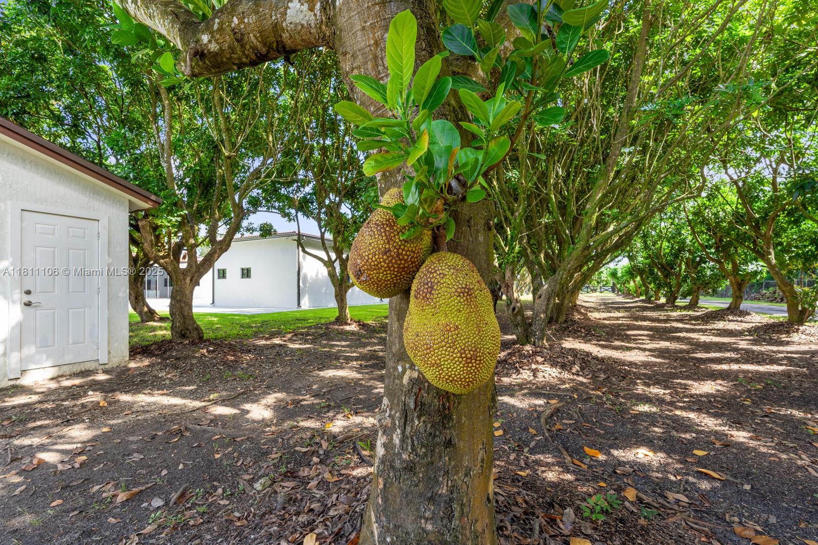 32 56 39 5 AC M/L - Residential