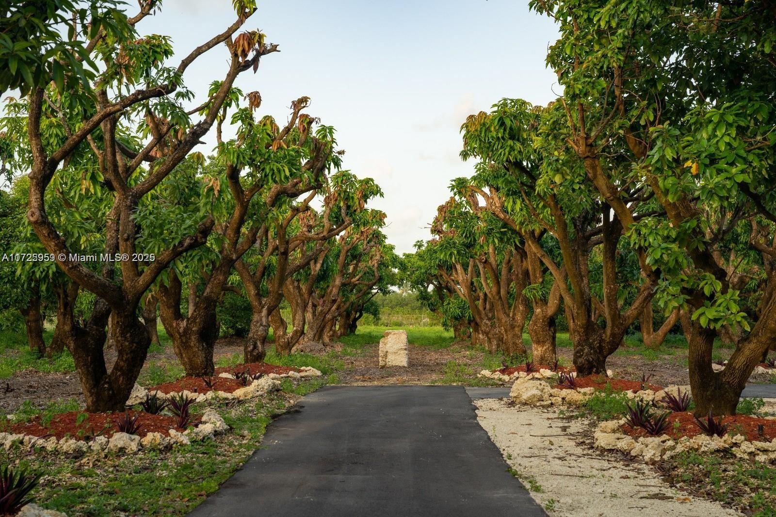 REDLAND CITRUS ORCHARDS S - Land
