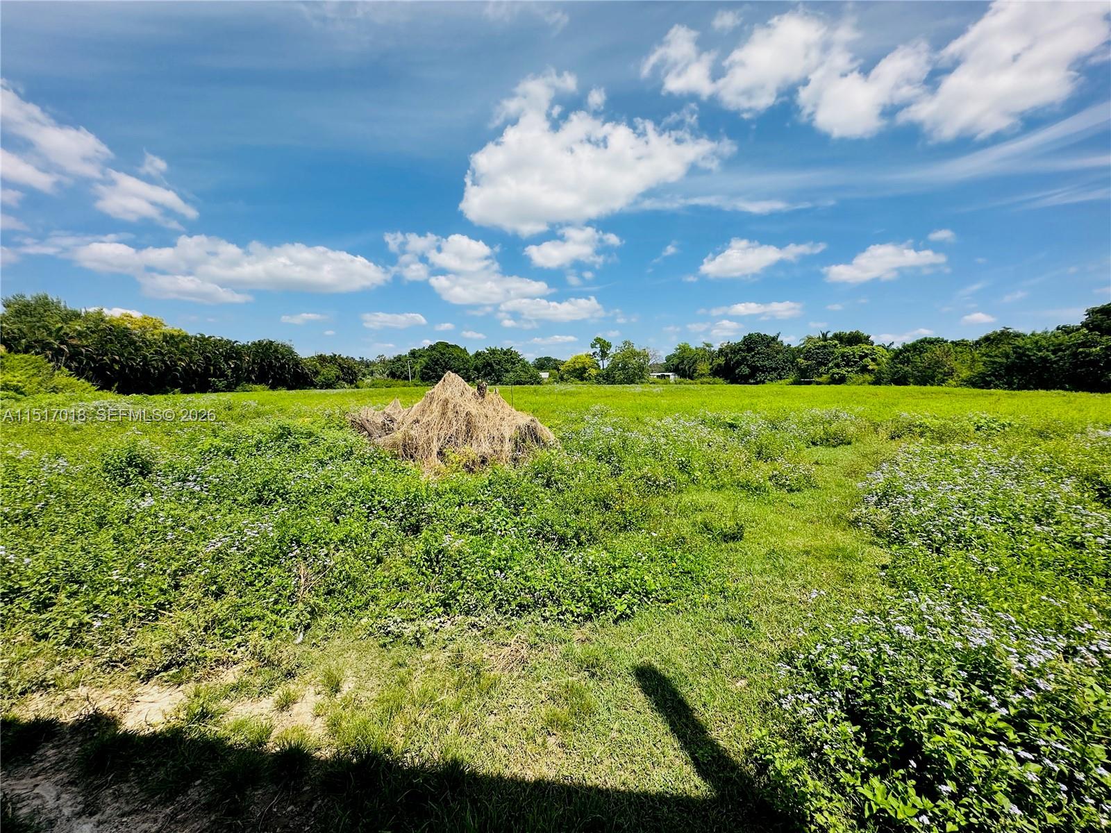 CHAMBERS LAND CO SUB SE1/ - Residential