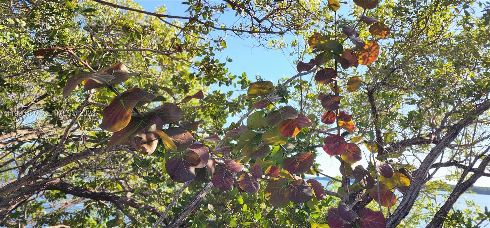 KENDALAIRE VILLAS CONDO - Residential