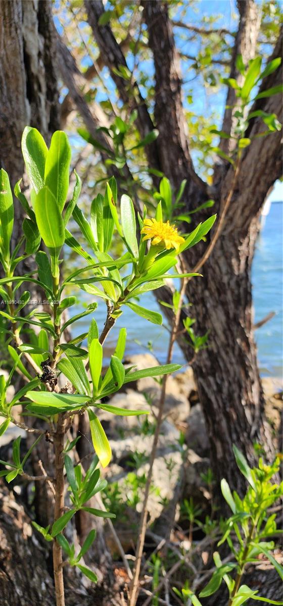 KENDALAIRE VILLAS CONDO - Residential