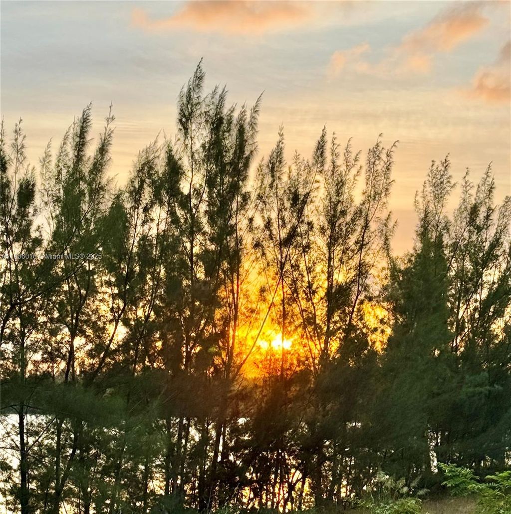 Photo of 8650 NW 97th Ave #204, Doral, FL 33178 (MLS # A11906016)