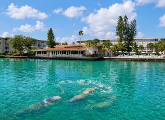 2741 TAFT ST APT 206, HOLLYWOOD, FL 33020 - Image 2bbc03a974025abd53365d88cc9dfcdc/813048870