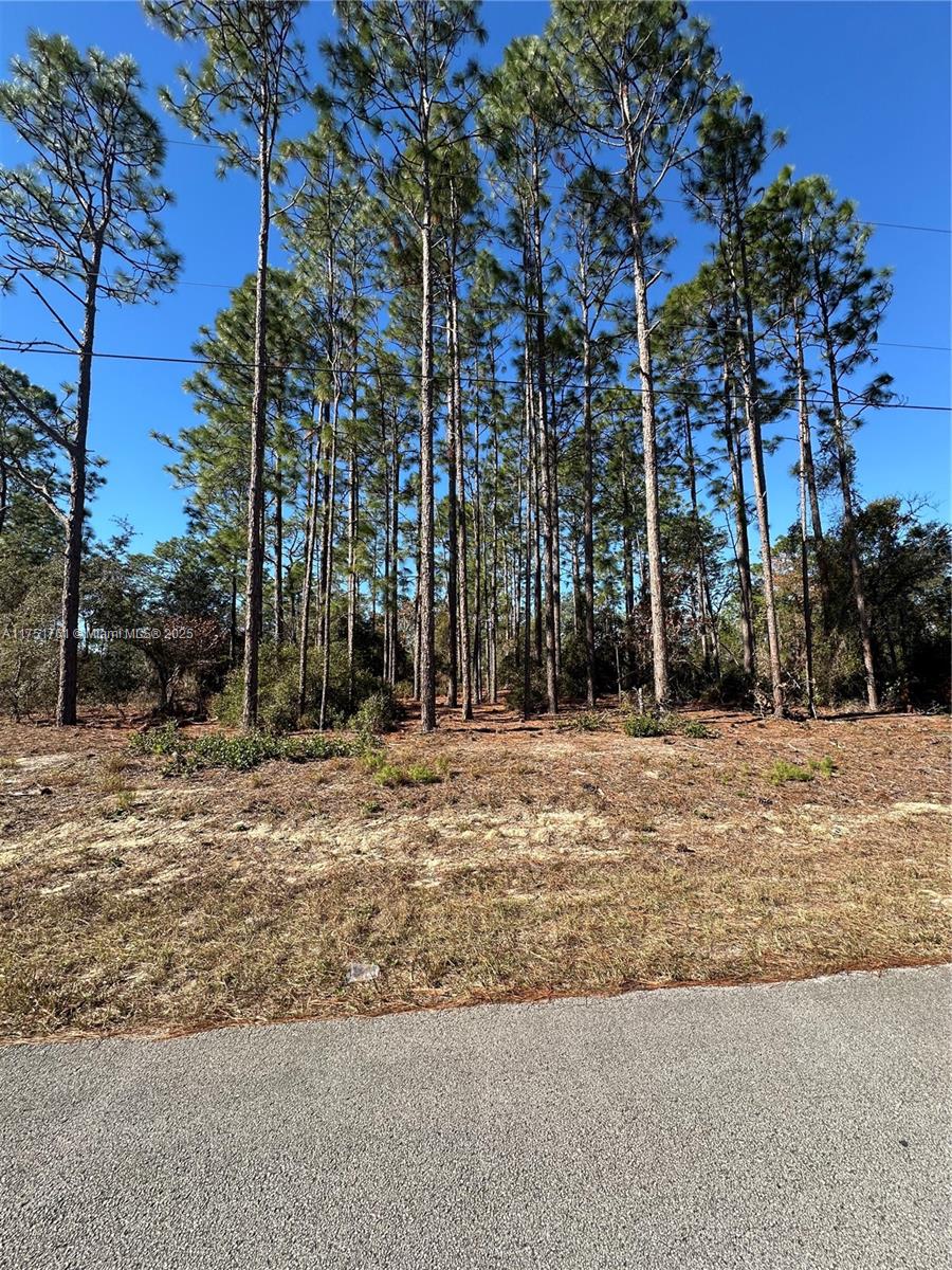 RAINBOW ACRES UNIT 4 - Land