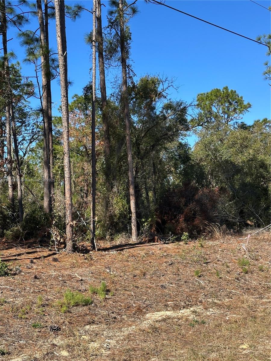 RAINBOW ACRES UNIT 4 - Land