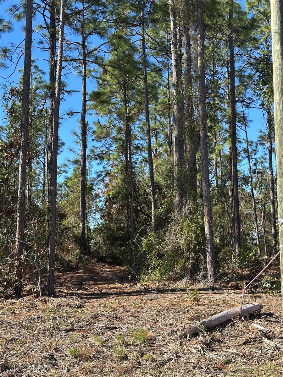 RAINBOW ACRES UNIT 4 - Land