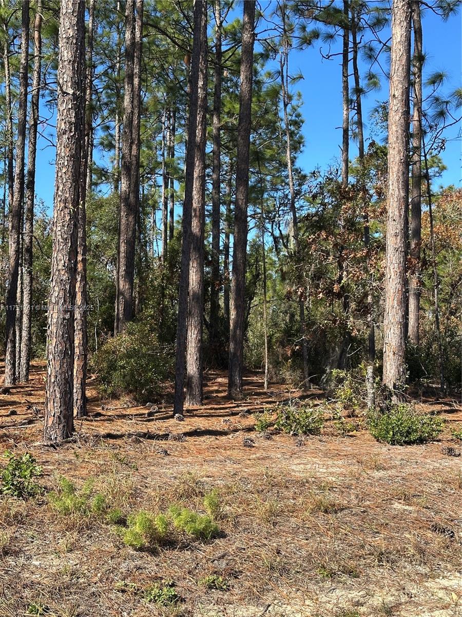 RAINBOW ACRES UNIT 4 - Land