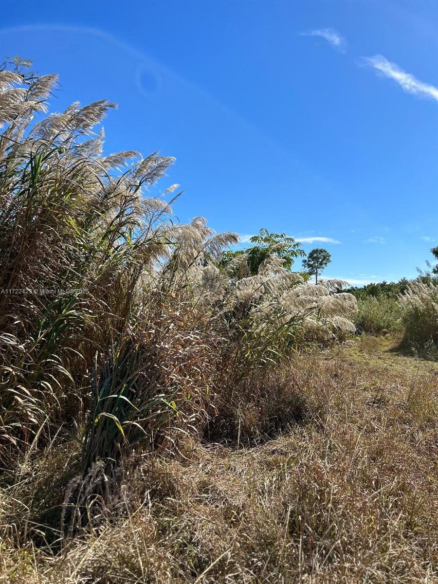 LINCOLN CITY SEC A - Land