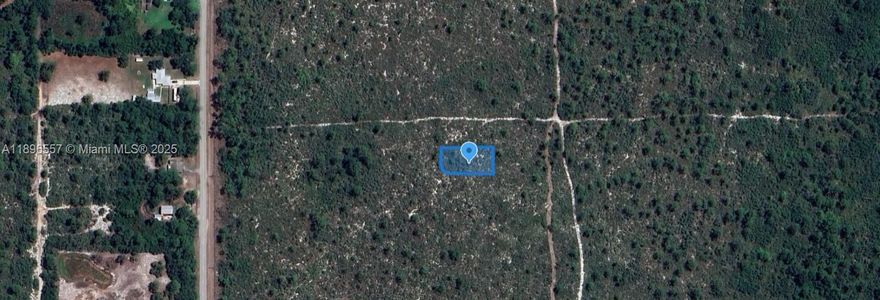 OWNER WILL FINANCE!!! 1K DOWN 213.05 A MONTH FOR 36 MONTHS AT 7% INTREST. ADJANCENT LOT AVAILABLE!! Lake Placid Florida, 75 Wide and 150 feet Deep = .26 of an Acre, In Highlands Park Estates. Walking distance to Lake Istokpoga, where the Big Bass Bite! Highlands County has 100 Lakes and Affordable Golf, Highlands Hammock State Park, Many Bird Watching Parks where you will see the Scrub Jays! Nature Abounds all around, Kayaking, Bike Trails, Fishing! Get back to the Real Life in Lake Placid Florida!