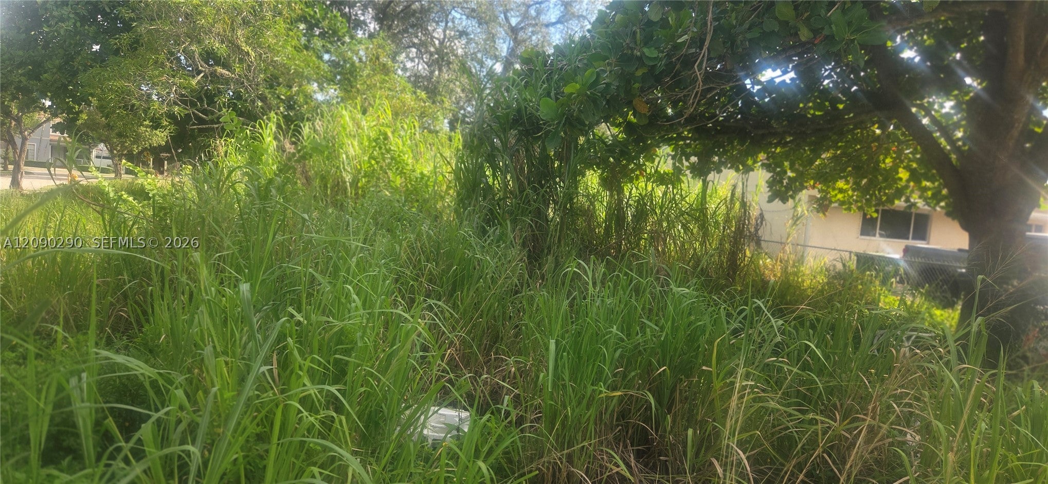 272 SW 143 Ct