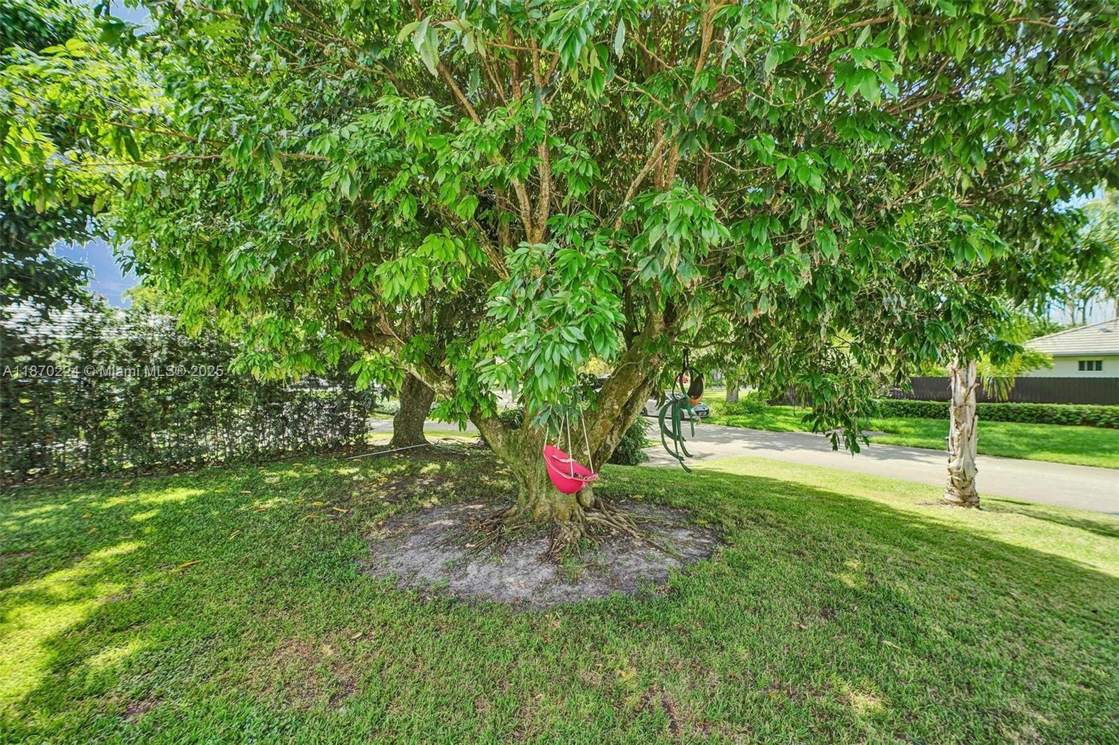 SHEAR GROVES - Residential