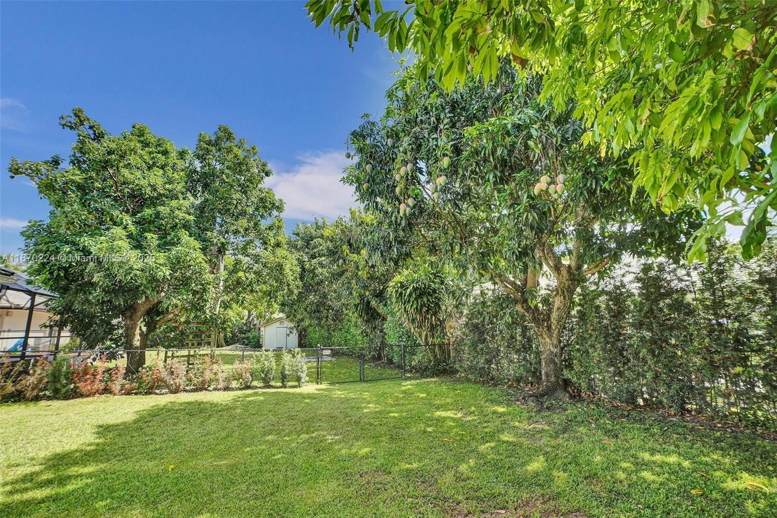 SHEAR GROVES - Residential