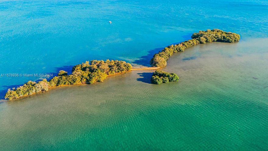 Presenting Bird Key, an uninhabited 4+/- acre island in Biscayne Bay. The ONLY privately owned island, zoned RESIDENTIAL with sights of Miami’s skyline, amid the clear beautiful, blue waters of the Bay - with no traffic or people- is for sale! Bird Key sits just 500 yards offshore, south of the 79th Street Causeway, a 37.5 acre residential opportunity with 4+/- acres of land surrounded by 33+/- acres of submerged land in sparkling blue water. Only four owners have been able to claim ownership to this gem. It is a golden opportunity for a developer to acquire and use for environmental mitigation, or one could acquire it to donate it to the public as an environmental treasure, or finally a very lucky individual may create Miami’s most exclusive address, because this gem is zoned residential.