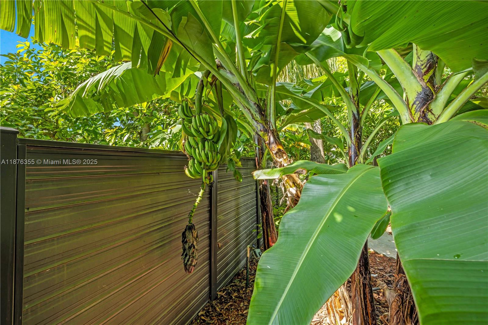 ELDORADO PLAINS - Residential