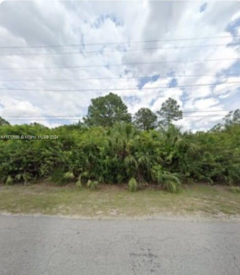 Are you looking to build your dream home or maybe an investment? Don't miss this beautiful corner lot with nice, paved streets. This is a great location with minutes away from SR82, I-75, where you can find shopping areas, place for dining and much more. The Lot have a clear title, no liens or violations. Don't forget this is a great start for owning a piece of land and building!