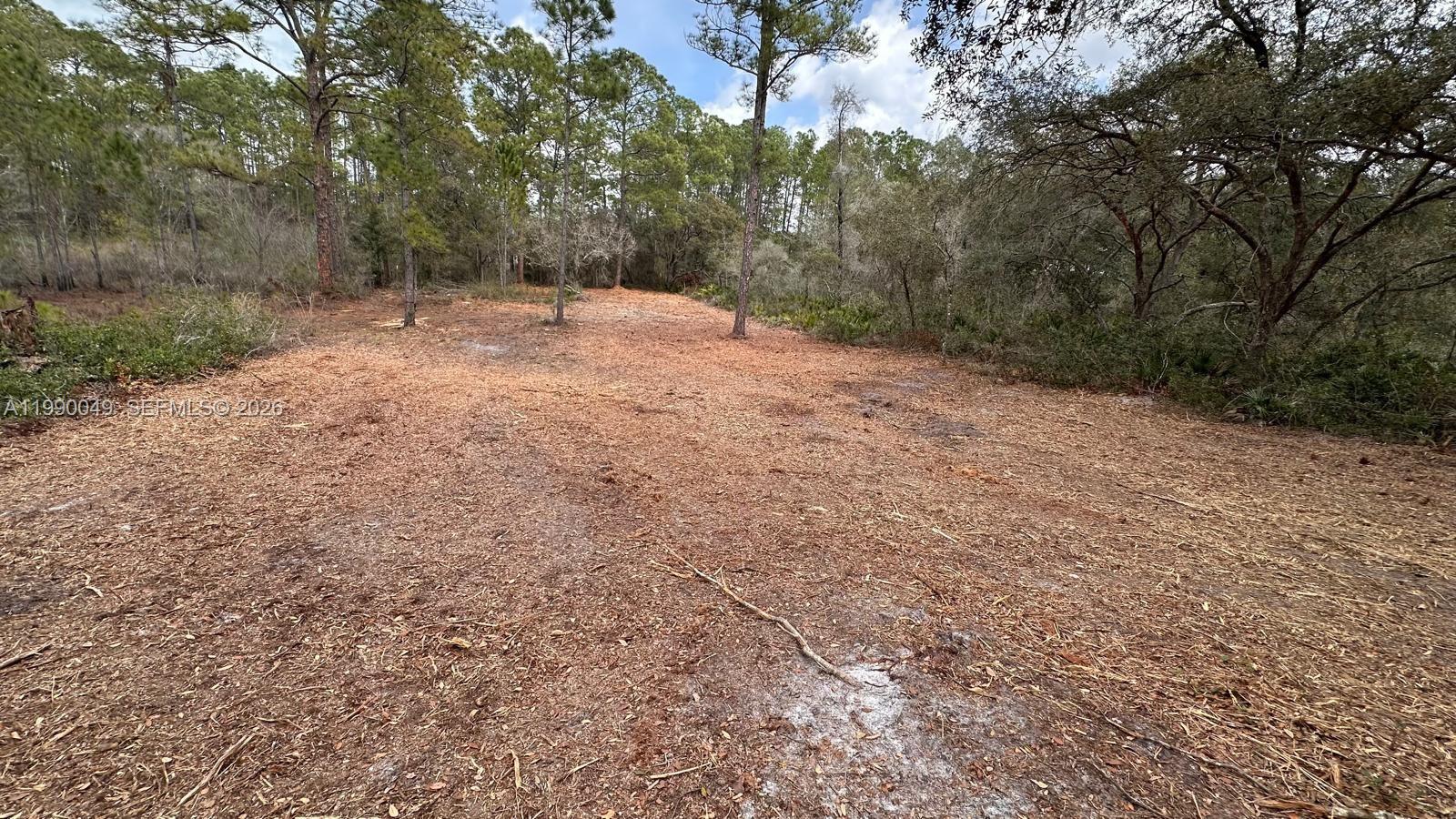 RIDGE MNR EST UN 4 - Land