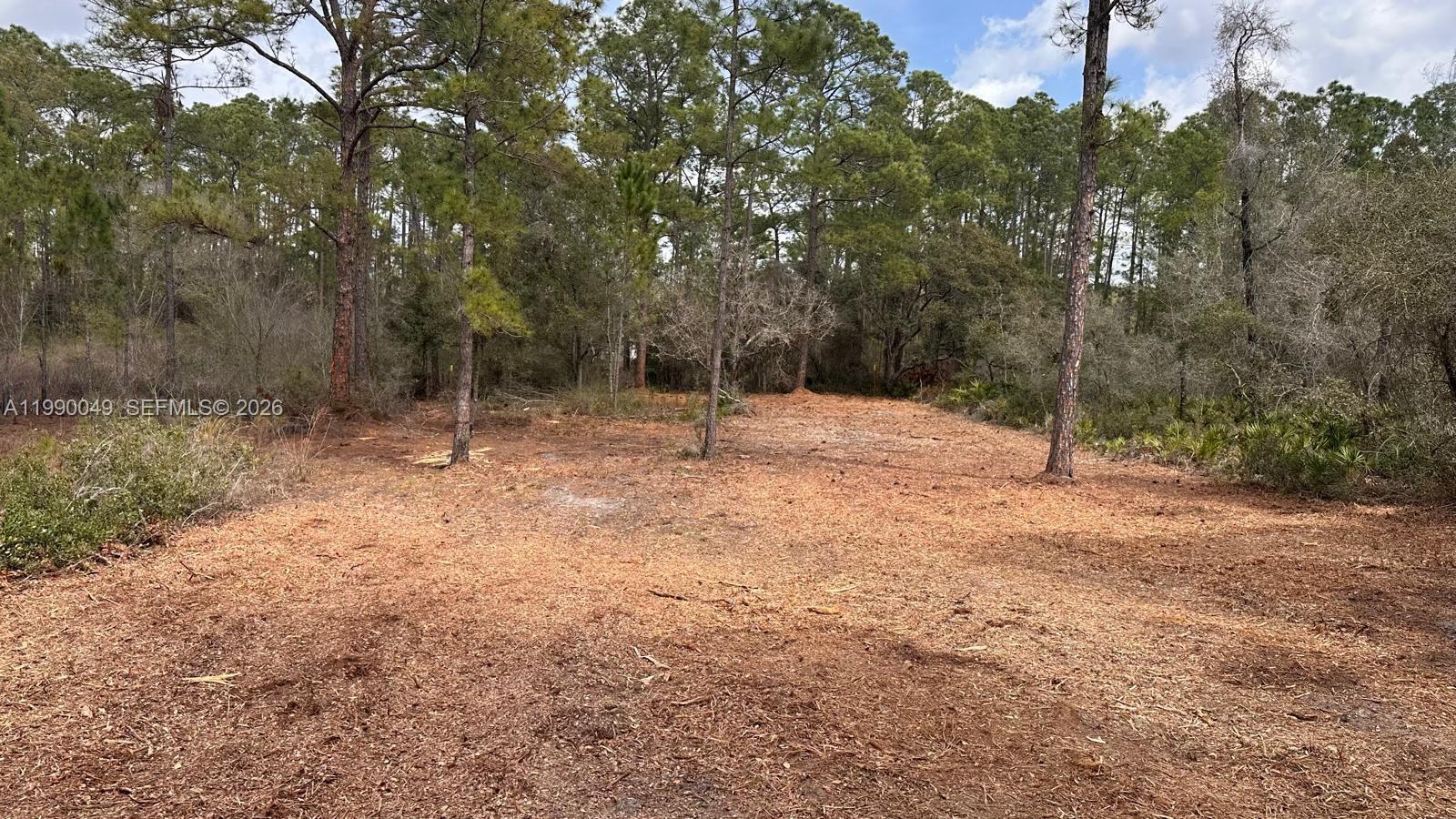 RIDGE MNR EST UN 4 - Land