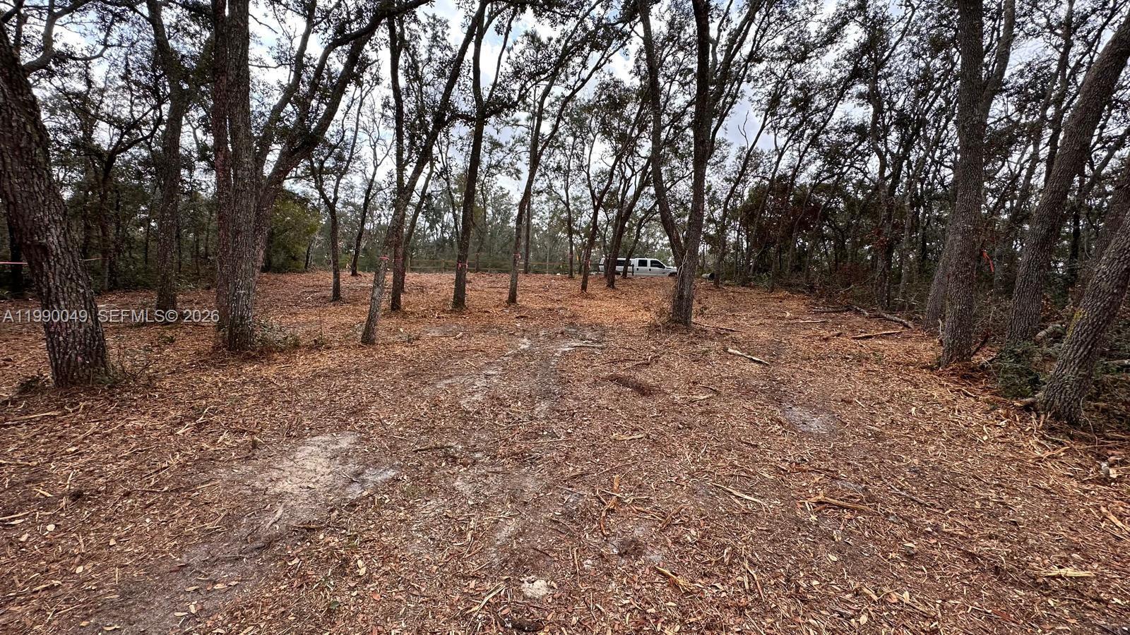 RIDGE MNR EST UN 4 - Land