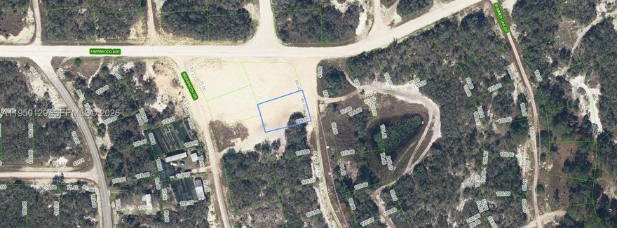 MOBILE HOME/MODULE HOME/SINGLE FAMILY HOME LOT FOR SALE!! HIGH AND DRY!! OWNER WILL FIANANCE!!! 3K DOWN, 460.07 A MONTH FOR 36 MONTHS!! Located in the tranquil Sun N Lake Estates community of Lake Placid, Florida, 132 Joy Dr. is a residential/mobile-home lot offering a serene environment for potential homeowners. This 0.23-acre property is zoned for residential use, providing ample space for custom home construction or a mobile home. The area is known for its natural beauty, with numerous lakes and parks nearby, making it ideal for outdoor enthusiasts. Only a few minute drive from Lake Placid known for fishing and watersports. Additionally, the community offers convenient access to local amenities, including shopping centers, restaurants, and schools, ensuring a comfortable and convenient lifestyle.