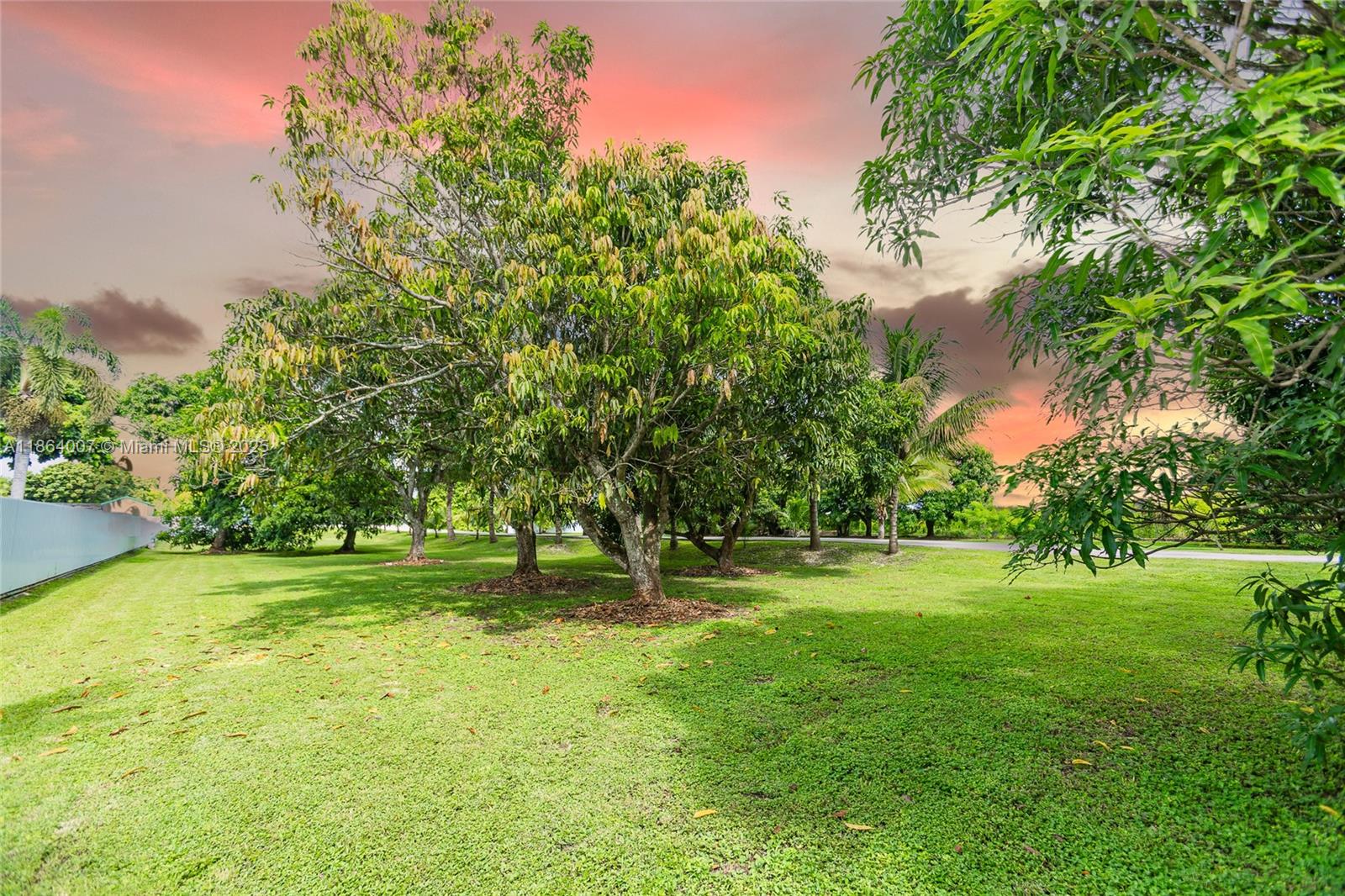 PLAT OF THE NW 1/4 - Residential