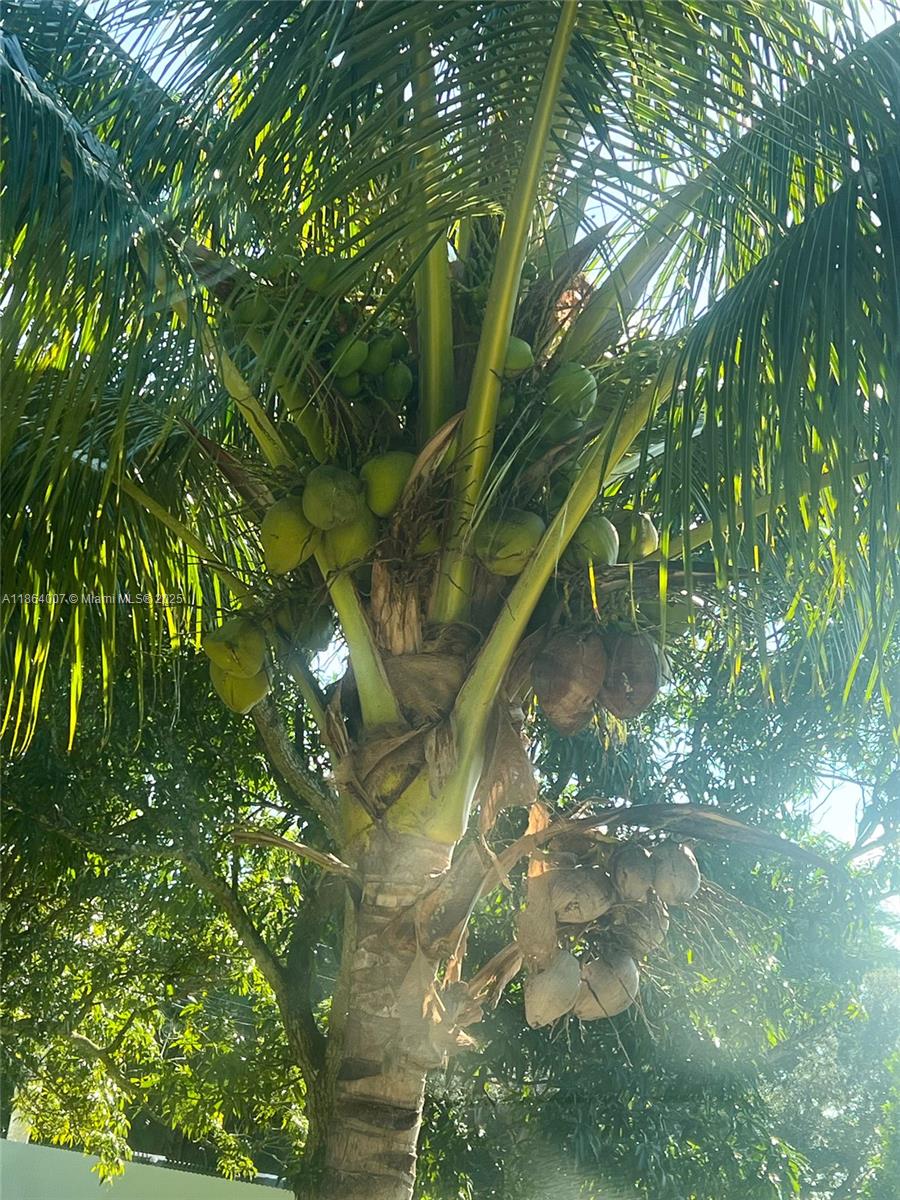 PLAT OF THE NW 1/4 - Residential