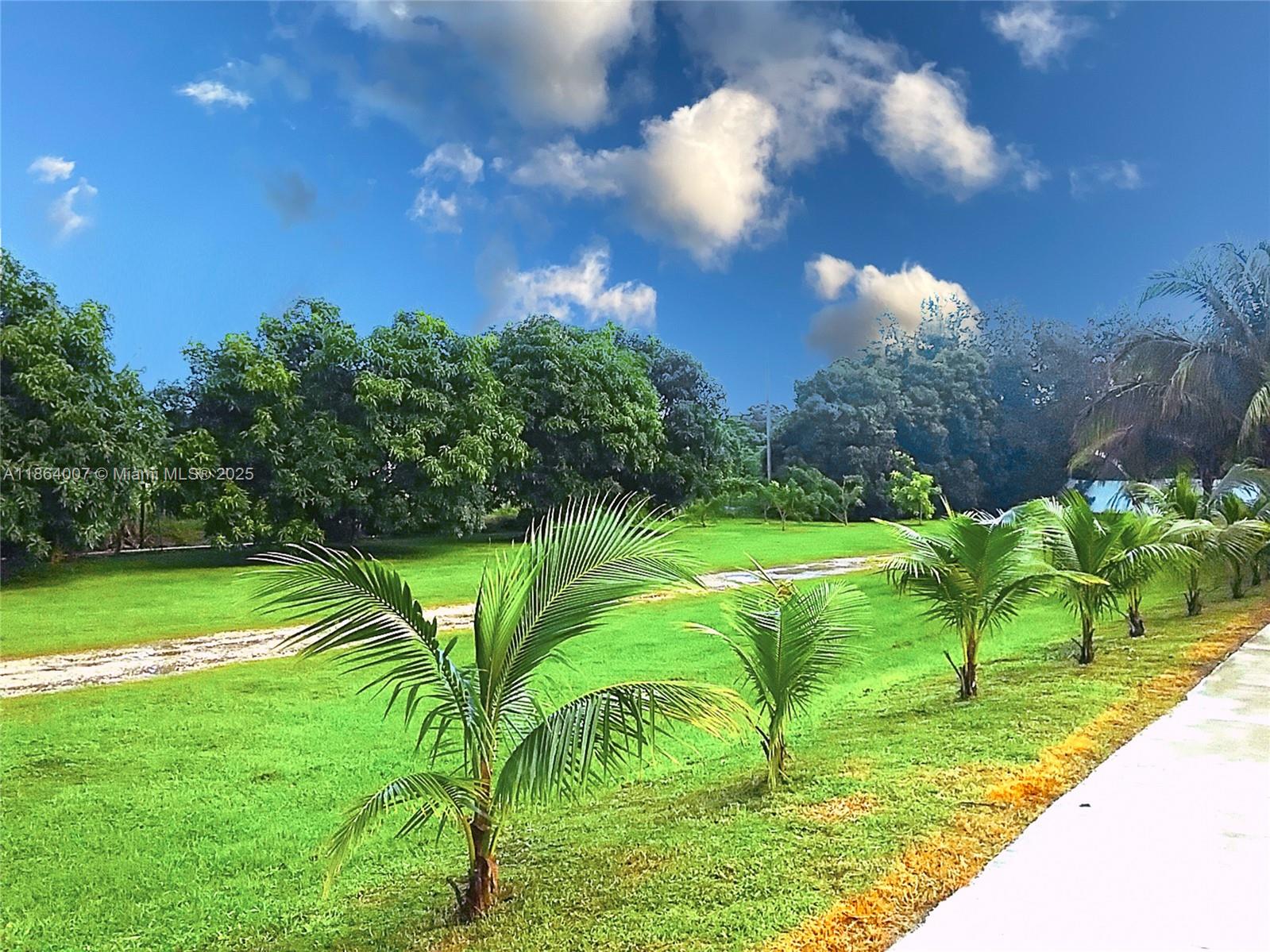 PLAT OF THE NW 1/4 - Residential