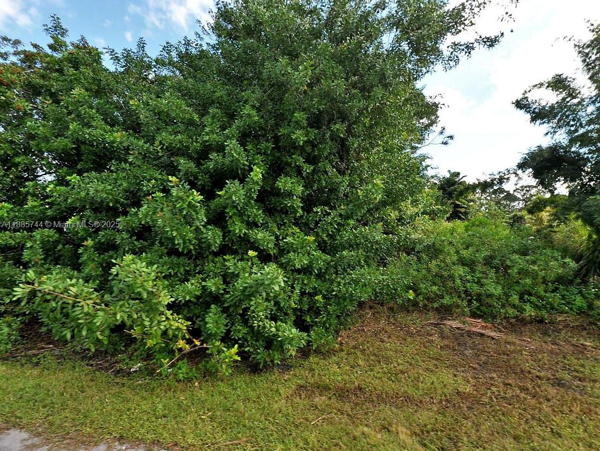 Discover this opportunity in PORT SAINT LUCIE, Florida! Secure this .30 lot in the fastest-growing city in FLA. This HIGH AND DRY lot promises a stable foundation for your future construction endeavors. SEE REMARKS!