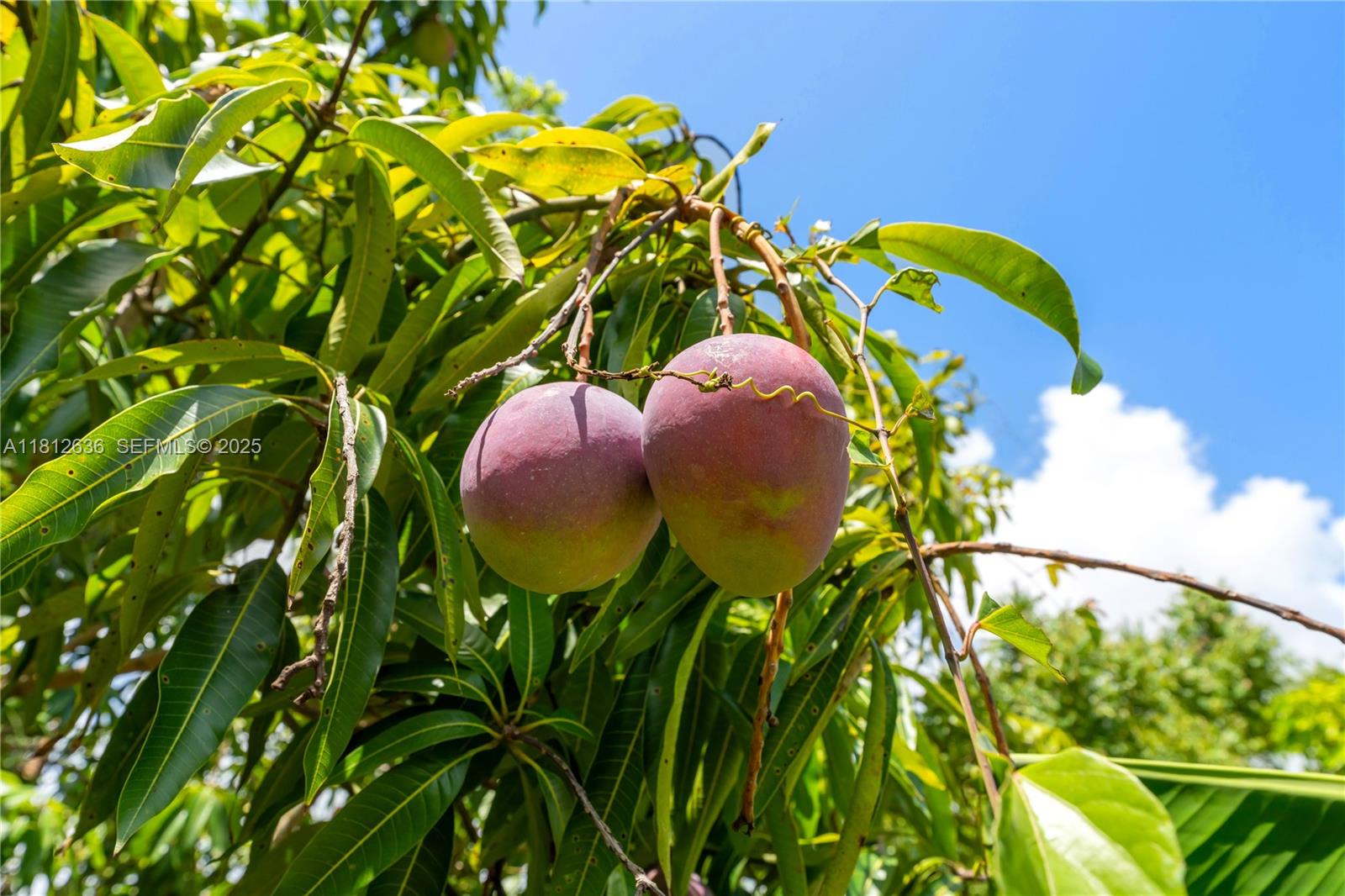 14 57 38 1.25 AC - Residential