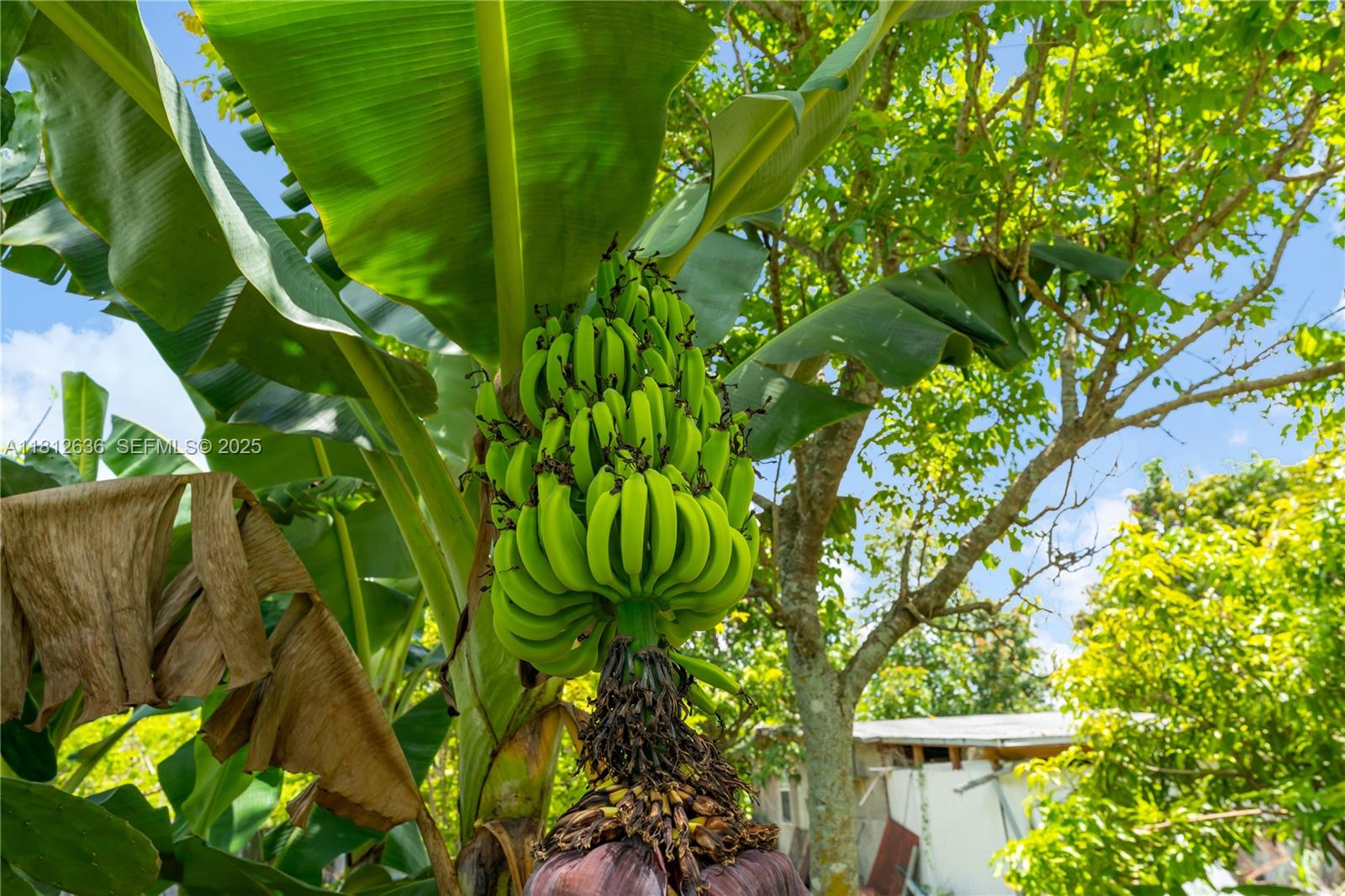 14 57 38 1.25 AC - Residential