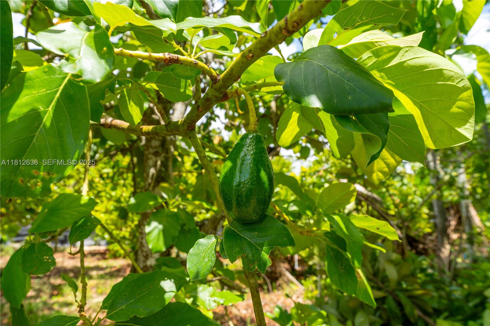 14 57 38 1.25 AC - Residential