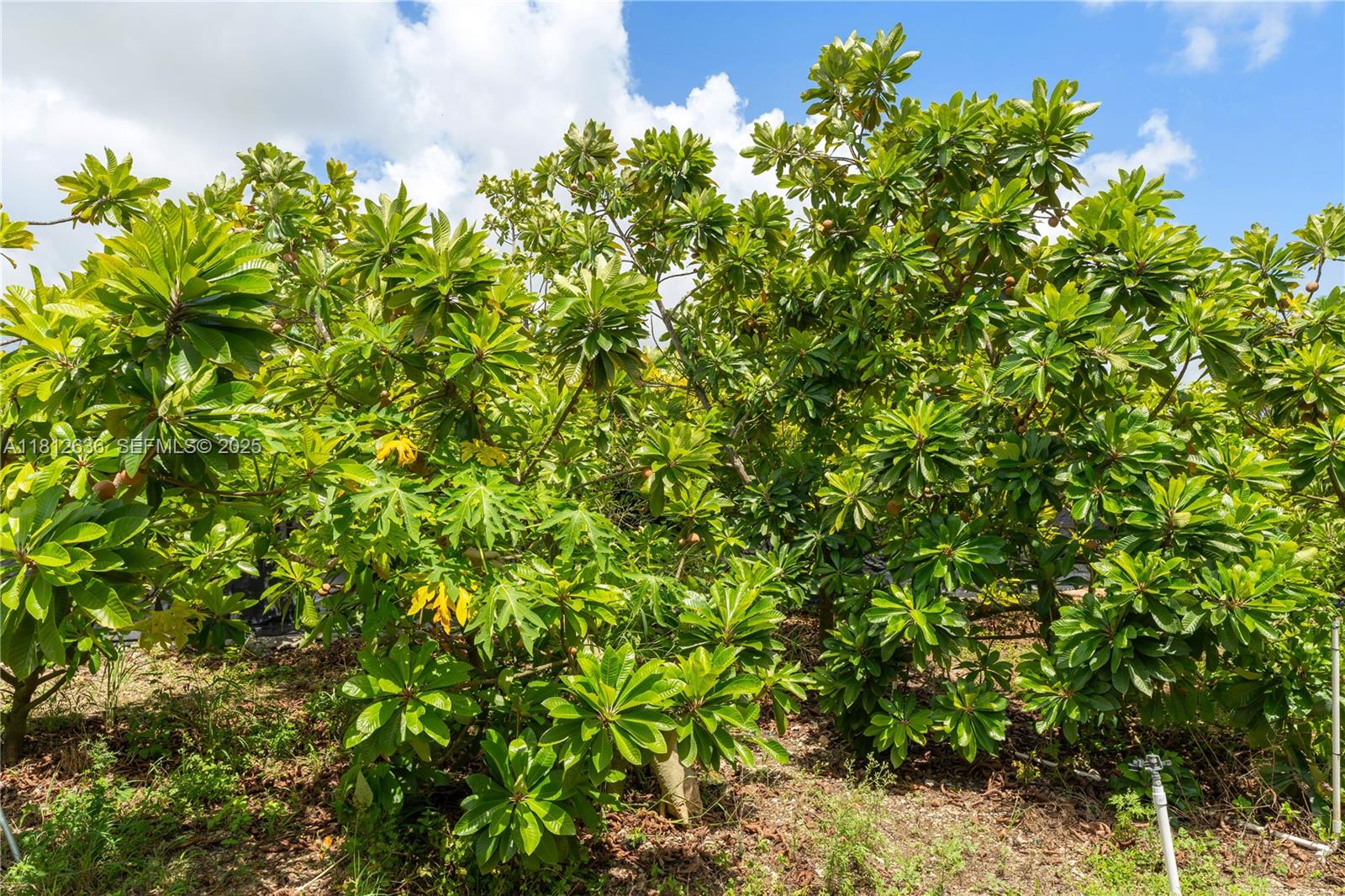 14 57 38 1.25 AC - Residential