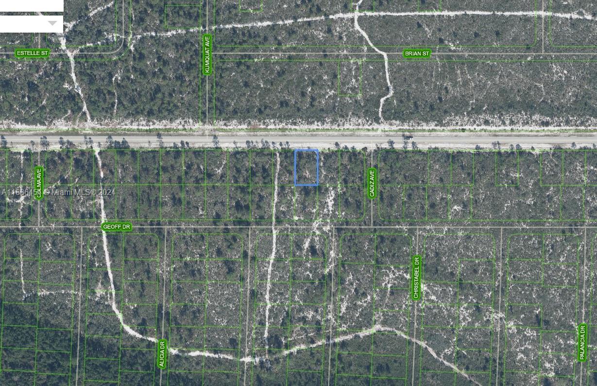 SUN N LAKE EST OF SEBRING - Land