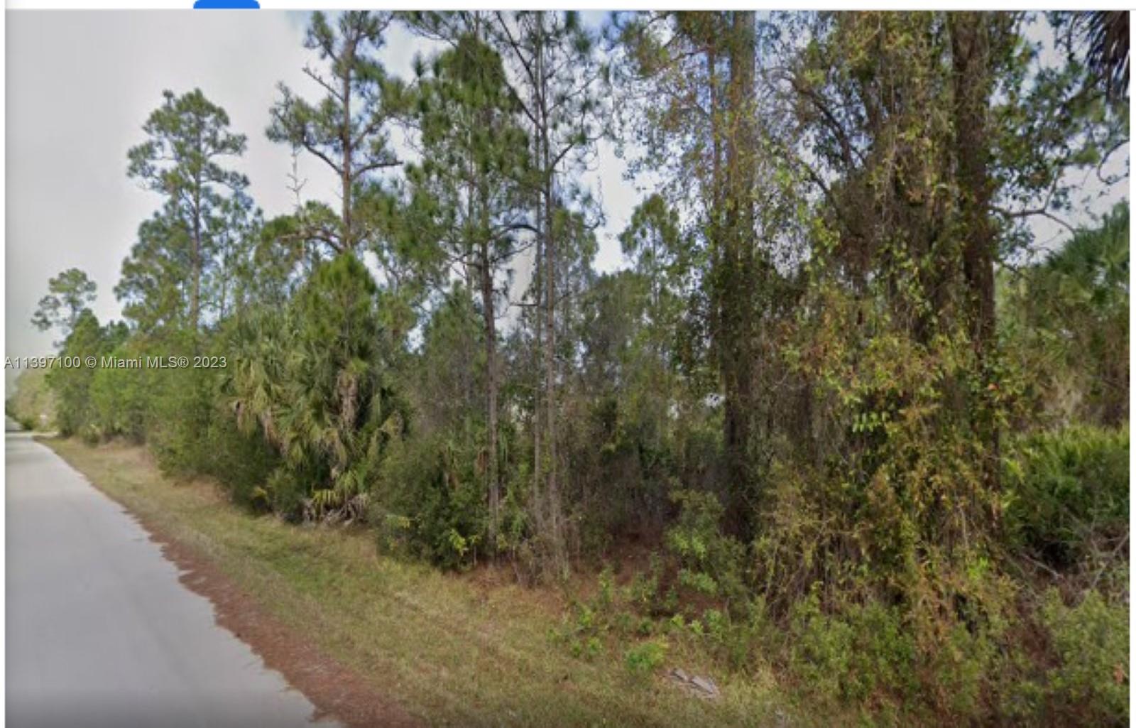 SOUTH PUNTA GORDA HGTS - Land