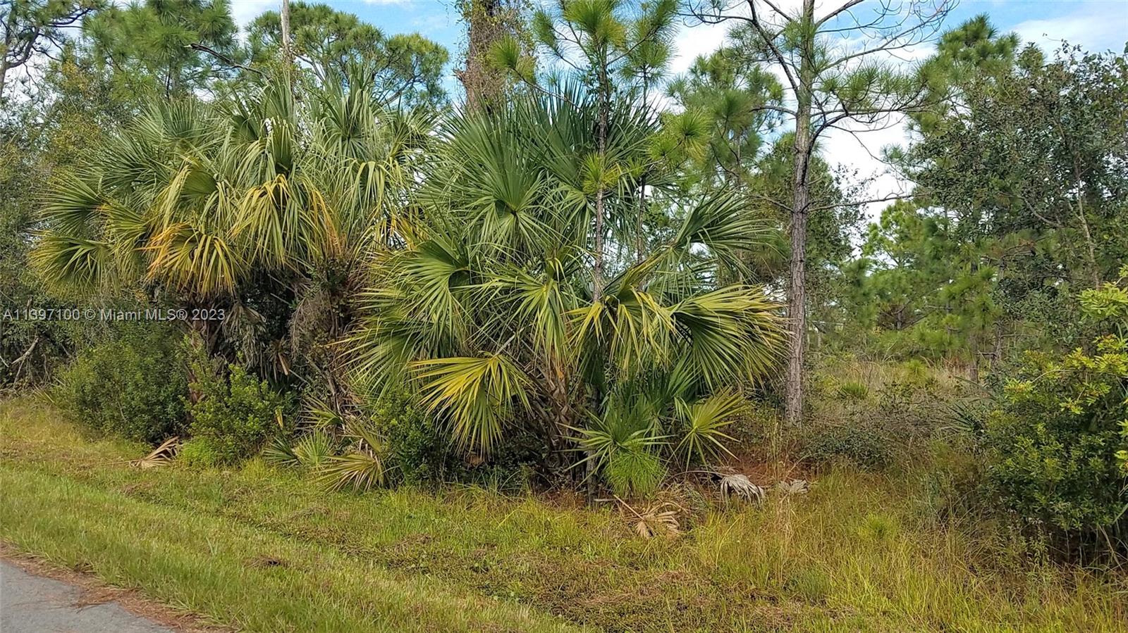 SOUTH PUNTA GORDA HGTS - Land