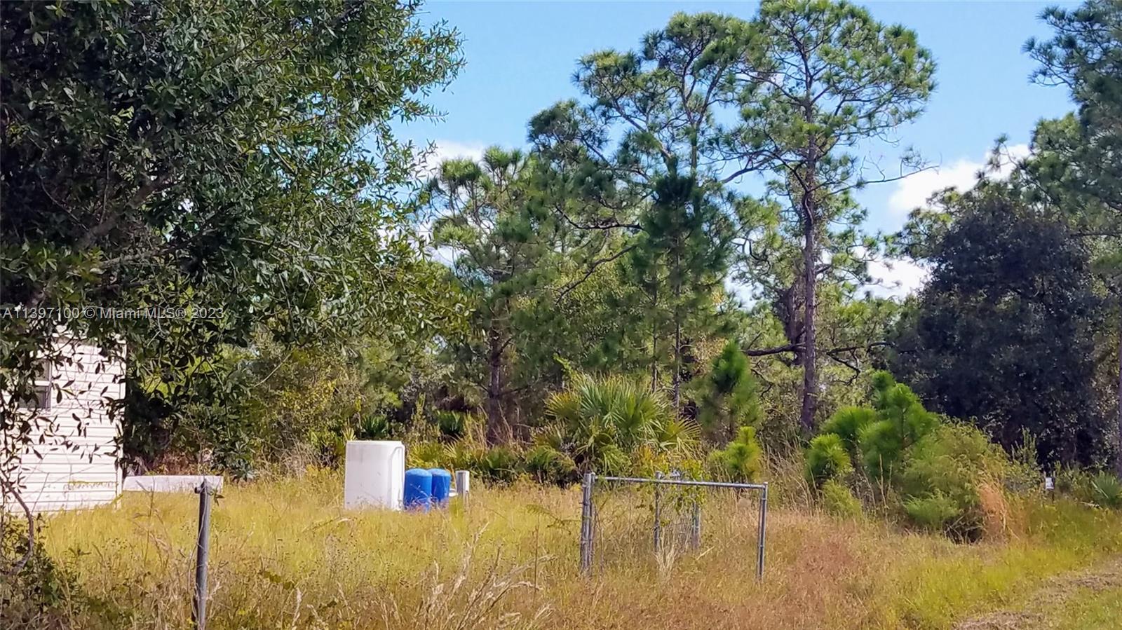 SOUTH PUNTA GORDA HGTS - Land