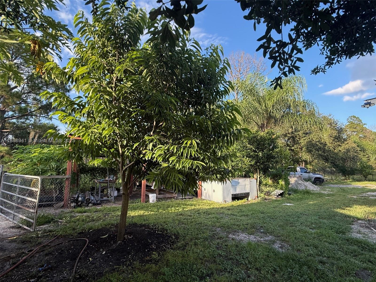 Montura Ranch - Residential