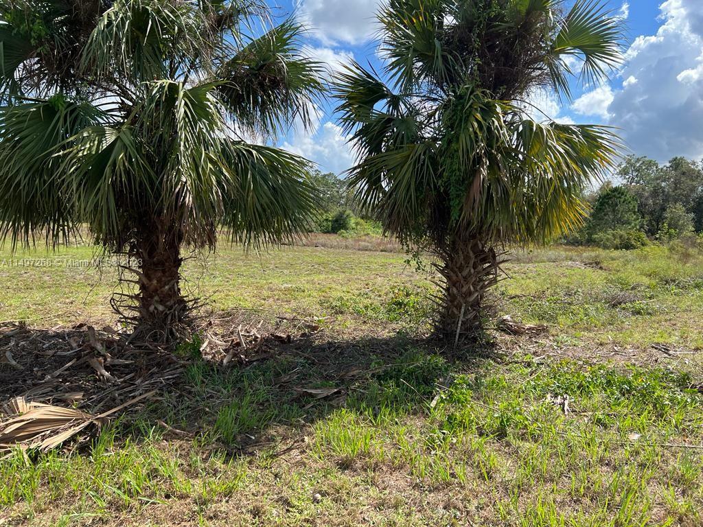 Lee County Unincorporated - Land