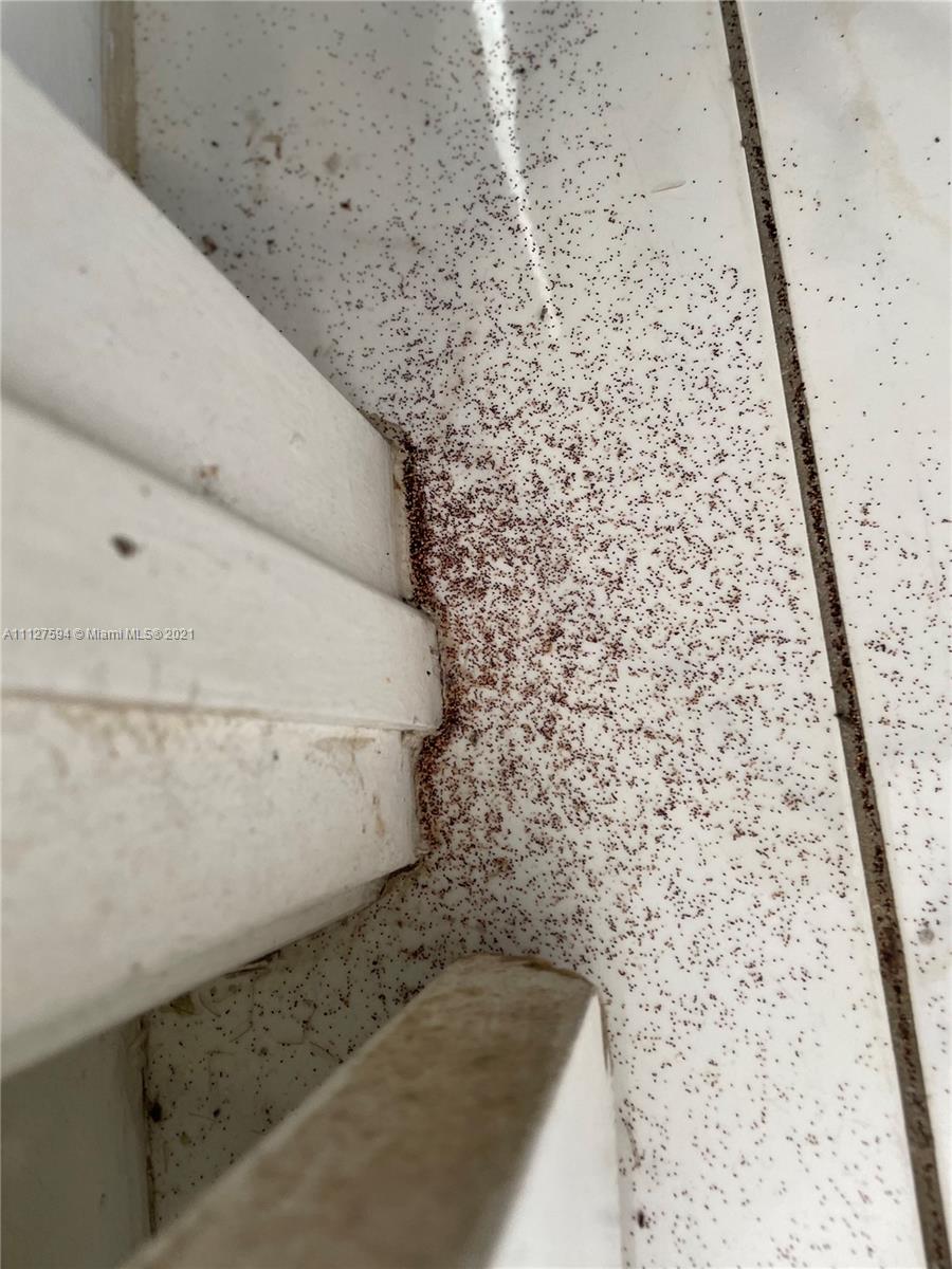 HOLLYWOOD PARK - Residential Income