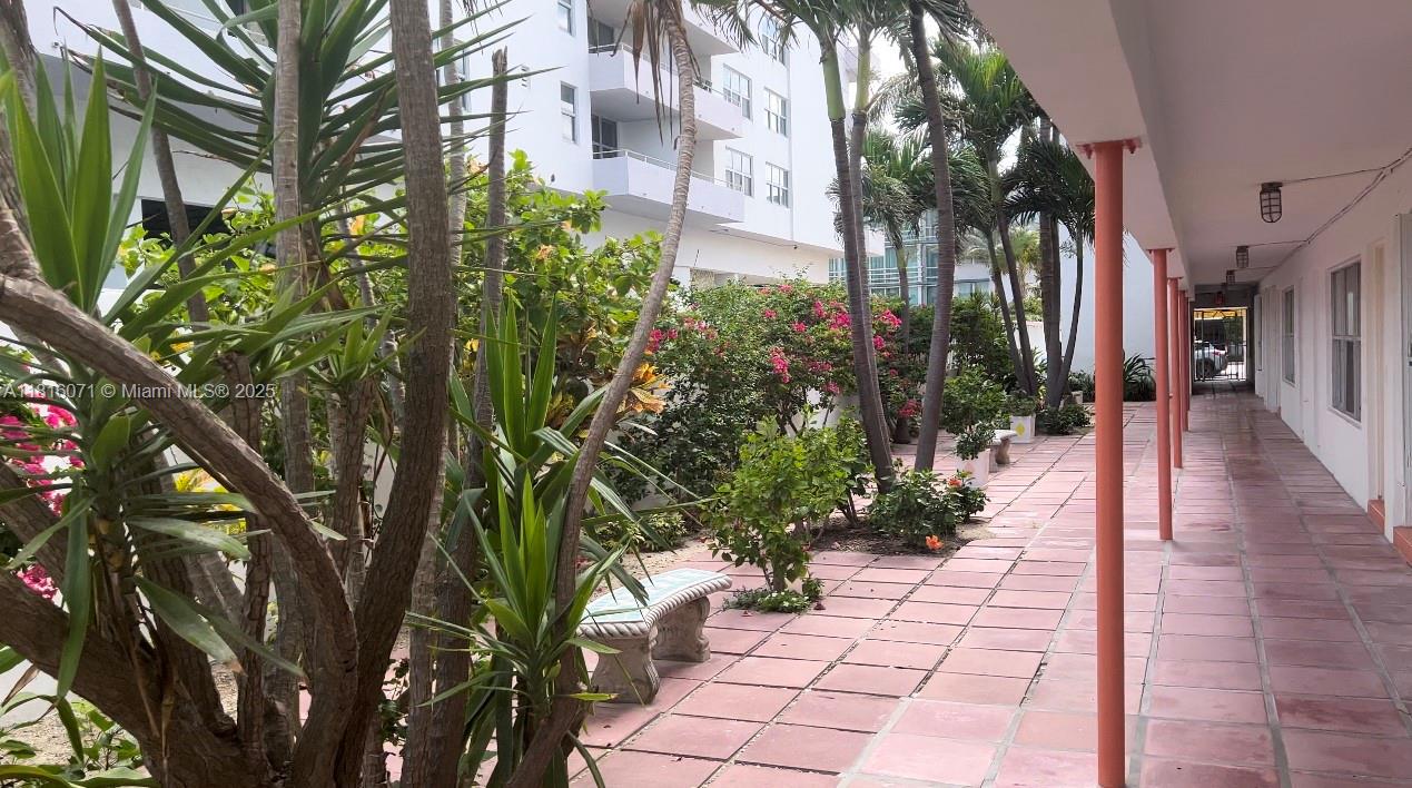 9241 Collins Ave 5