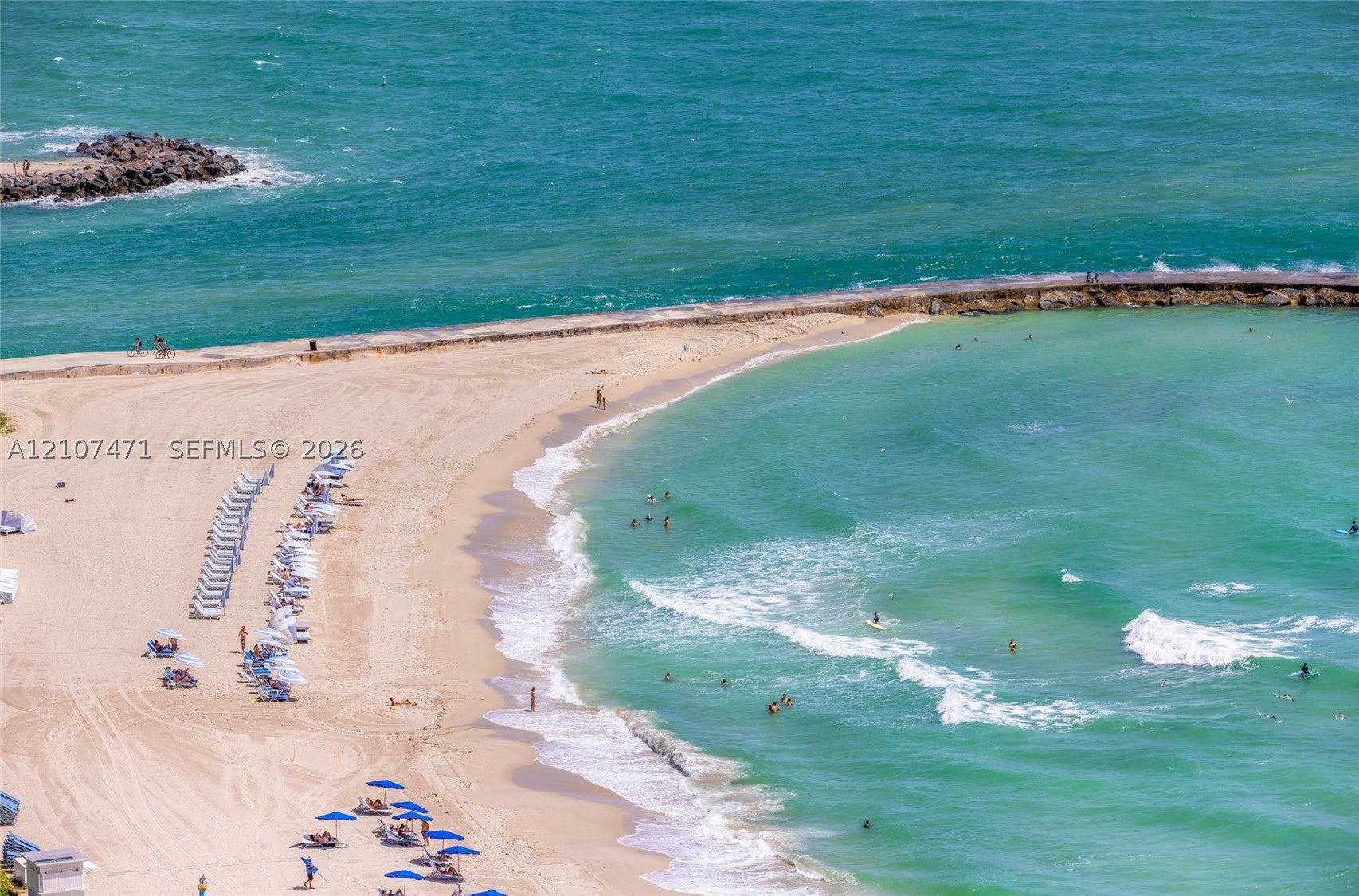 10201 Collins Ave 2506